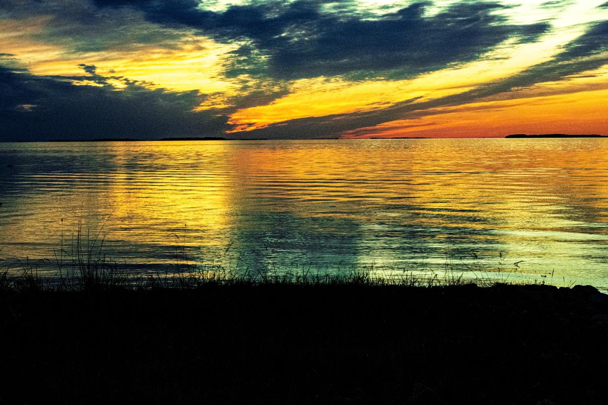 Muhusi Linnumaja Igaküla エクステリア 写真
